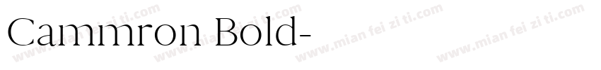 Cammron Bold字体转换